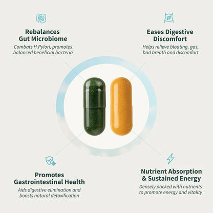 Vitalis™ Digestion, Detox & Energy Support