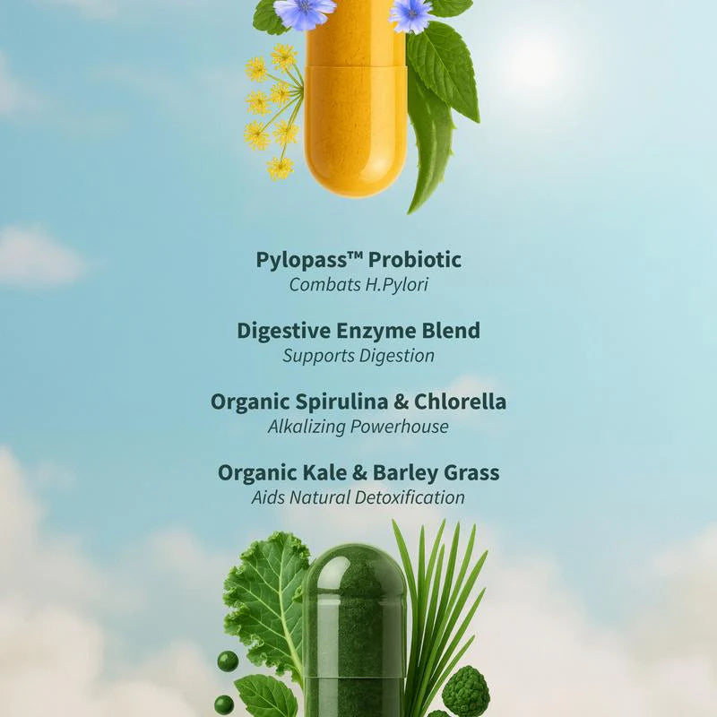 Vitalis™ Digestion, Detox & Energy Support