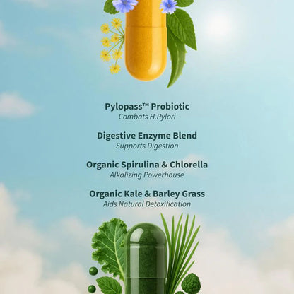Vitalis™ Digestion, Detox & Energy Support